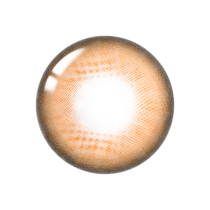 【6ヶ月】ヘルメラブラウン  Hermera Brown(1瓶1枚入)