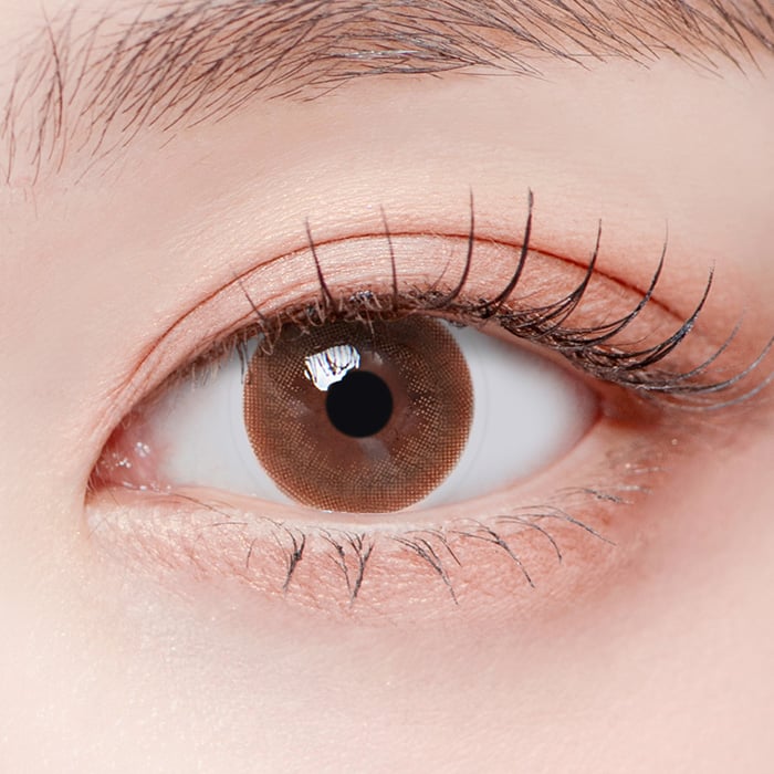 【ワンデー】ライリークラシック ライトブラウン  【1day】Lighly Classic Light Brown(1箱20枚入)