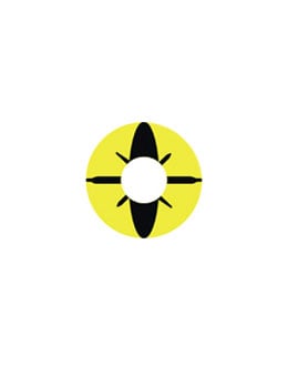 [コスプレ用カラコン] [004] Yellow Bee 装着時